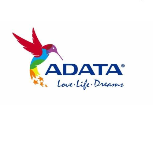 10-ADATA.jpg