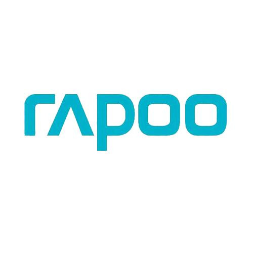 79-Rapoo-Logo.jpg