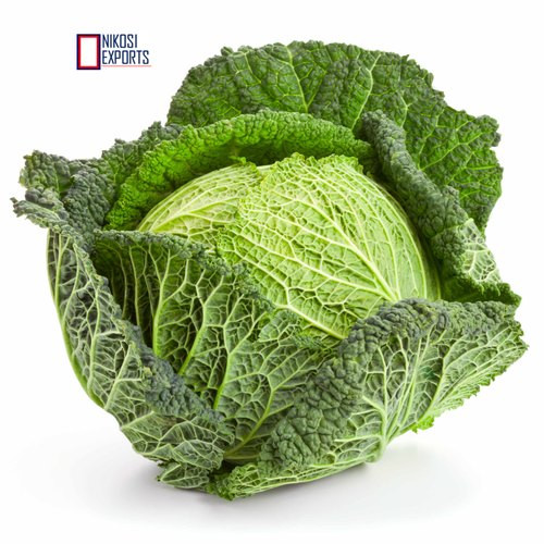Badhacopi-(Cabbage)23.jpg