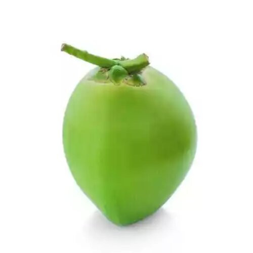 Daab-(Green-Coconut)40.jpg