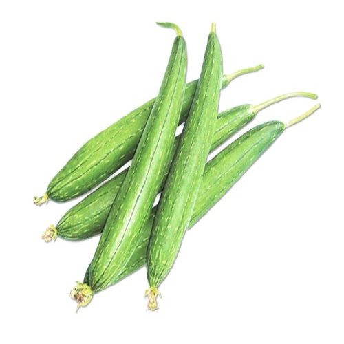 Dhundhul-(Sponge-Gourd)38.jpg