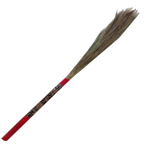 Flower-Broom-(Ful-Jharu)53.png