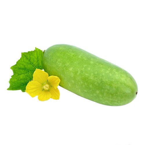 Jali-Kumra-(Water-Pumpkin)50.jpg