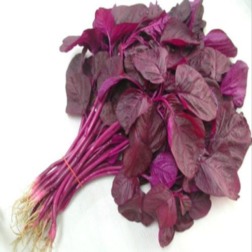 Lal-Shak-(Red-Spinach)81.jpg
