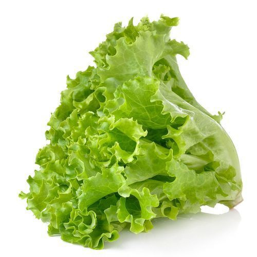 Lettuce-Leaves21.jpg