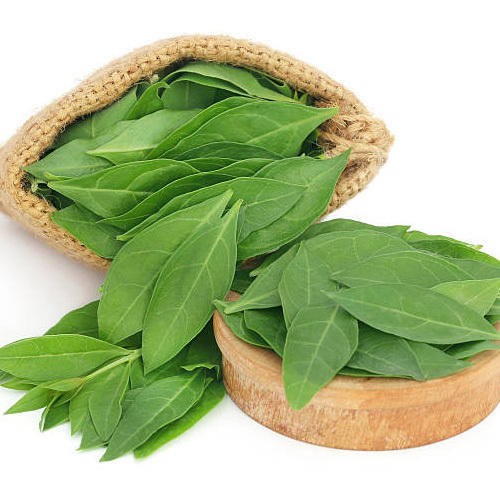 Mehendi-Pata-(Henna-Leaves)48.jpg