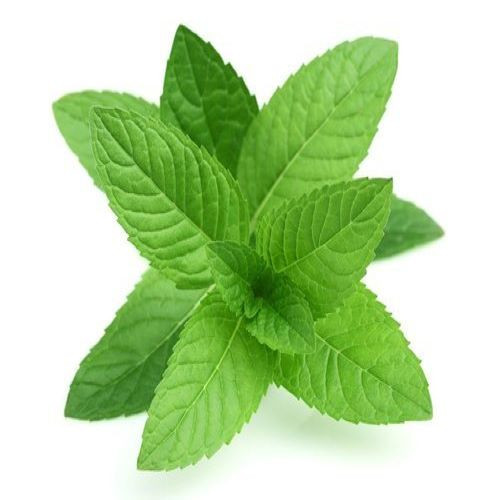 Pudina-Pata-(Mint-Leaves)26.jpg