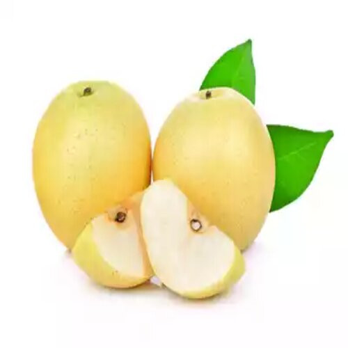 Shada-Nashpati-(Pear-White)66.jpg