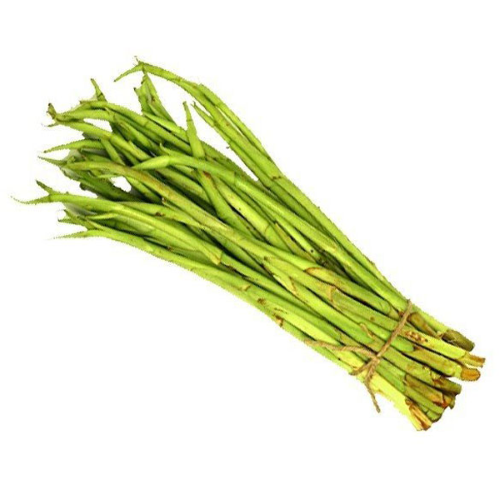 Stolon-of-Taro-Kochur-loti56.png