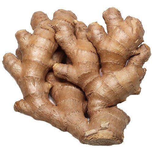 Thai-Ada-(Ginger-Thai)68.jpg