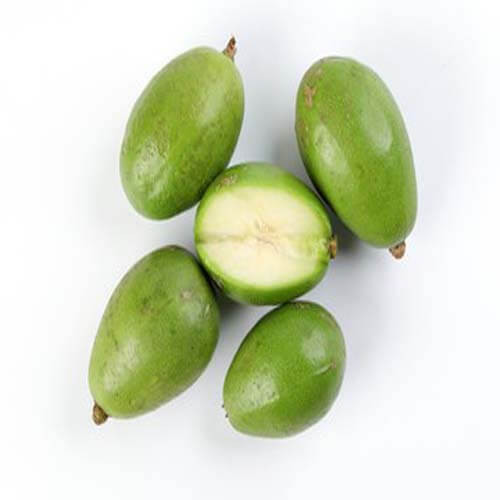 amra(hog-plum)97.jpg