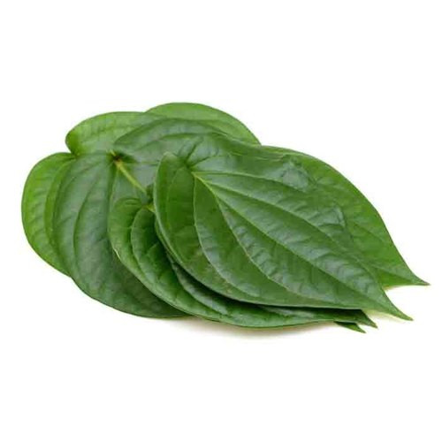 betel-leaves(pan)47.jpg