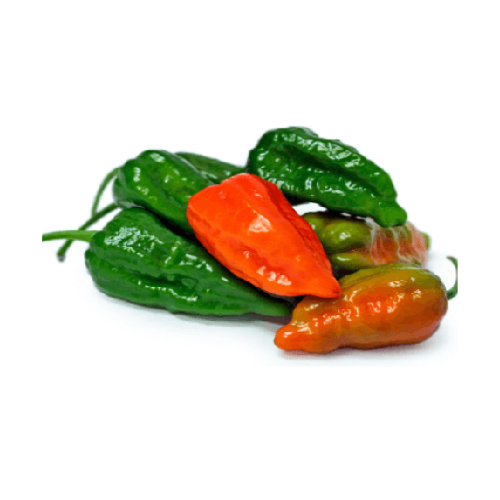 bombay-chilli78.png