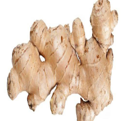 deshi-ada-(local-ginger)87.jpg