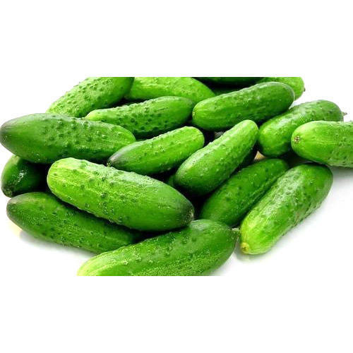 fresh-cucumbers-500x50074.jpg