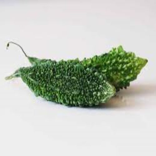 korola-(bitter-gourd)62.jpg