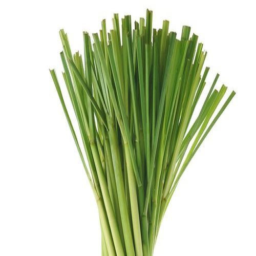 lemon-grass-stalk22.jpg