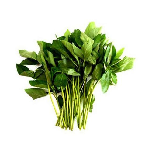 pat-shak-(jute-spinach)77.jpg