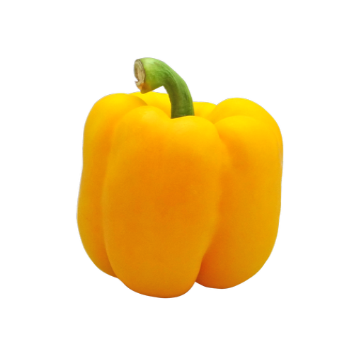 yellow-capsicum58.png